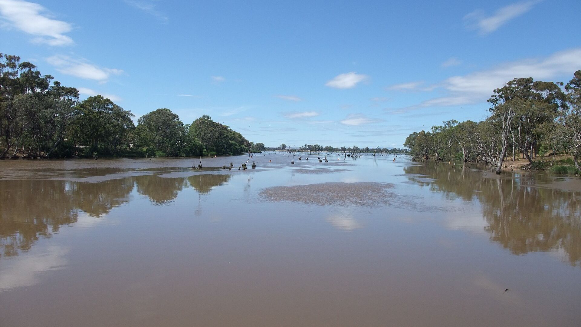 Goulburn River in Victoria, Wikimedia Commons photograph